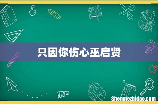 只因你伤心巫启贤