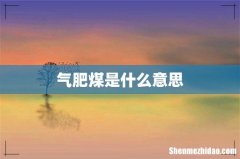 气肥煤是什么意思