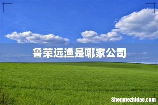 鲁荣远渔是哪家公司