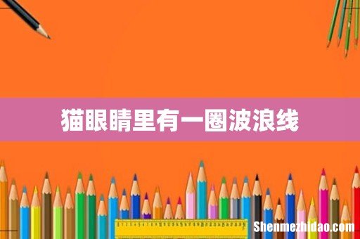 猫眼睛里有一圈波浪线