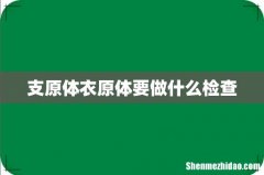 支原体衣原体要做什么检查