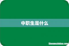中职生是什么