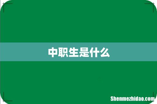 中职生是什么