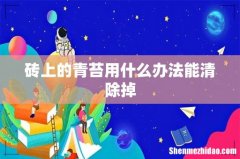 砖上的青苔用什么办法能清除掉