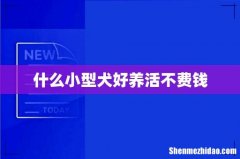 什么小型犬好养活不费钱