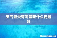 支气管炎有鸣音吃什么药最好