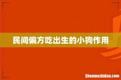 民间偏方吃出生的小狗作用