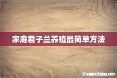 家庭君子兰养殖最简单方法