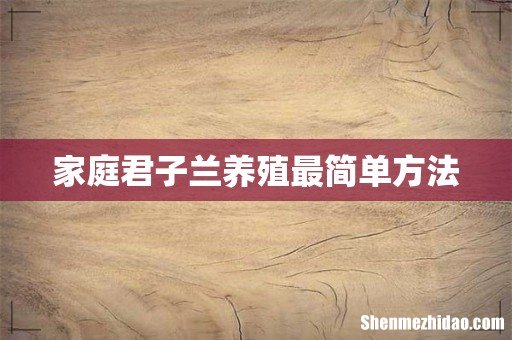 家庭君子兰养殖最简单方法