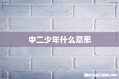 中二少年什么意思