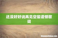 还没好好说再见空留遗憾歌词