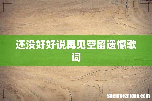 还没好好说再见空留遗憾歌词