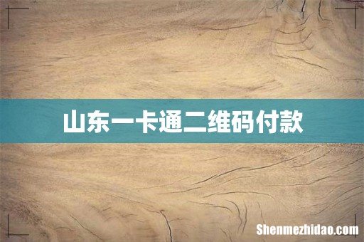 山东一卡通二维码付款