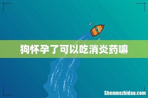 狗怀孕了可以吃消炎药嘛