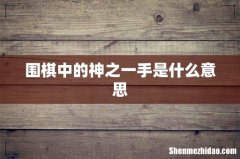 围棋中的神之一手是什么意思