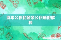 资本公积和盈余公积通俗解释