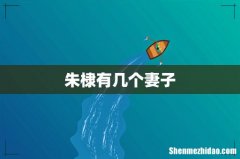朱棣有几个妻子