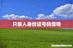 只输入身份证号码借钱