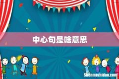 中心句是啥意思