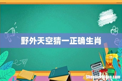 野外天空猜一正确生肖