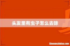 头发里有虫子怎么去除