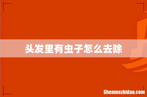 头发里有虫子怎么去除