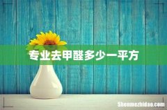 专业去甲醛多少一平方