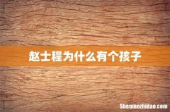 赵士程为什么有个孩子