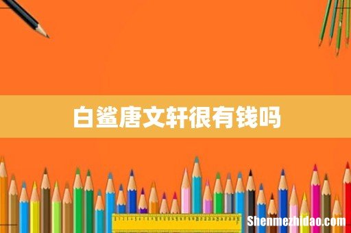 白鲨唐文轩很有钱吗