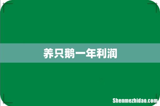 养只鹅一年利润