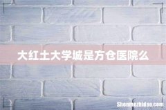 大红土大学城是方仓医院么