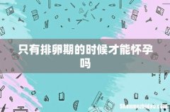 只有排卵期的时候才能怀孕吗