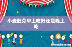 小麦胚芽早上吃好还是晚上吃