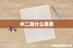中二是什么意思