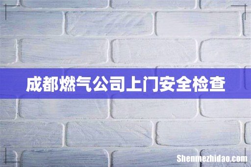 成都燃气公司上门安全检查