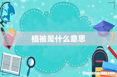 植被是什么意思