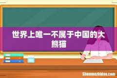 世界上唯一不属于中国的大熊猫