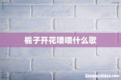 栀子开花喽喂什么歌