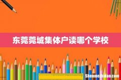 东莞莞城集体户读哪个学校