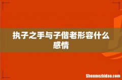 执子之手与子偕老形容什么感情