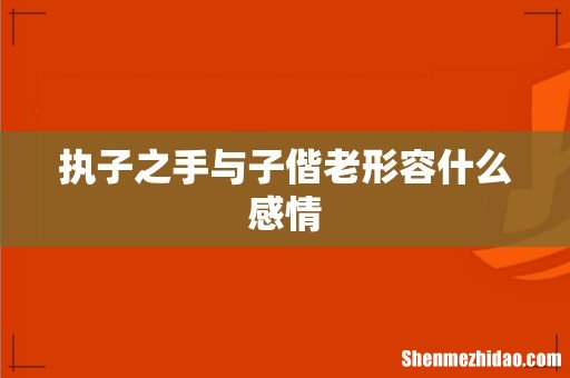执子之手与子偕老形容什么感情
