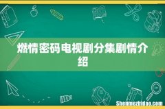燃情密码电视剧分集剧情介绍
