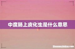 中度肠上皮化生是什么意思