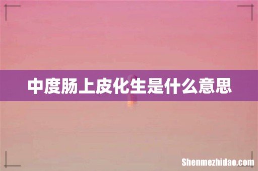 中度肠上皮化生是什么意思