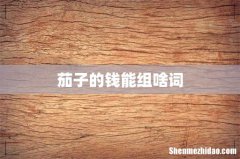 茄子的钱能组啥词