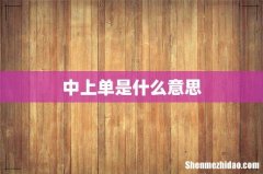 中上单是什么意思