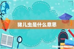 猪儿虫是什么意思