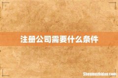 注册公司需要什么条件