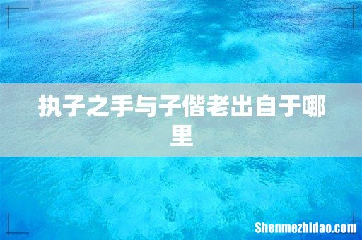 执子之手与子偕老出自于哪里