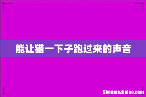 能让猫一下子跑过来的声音